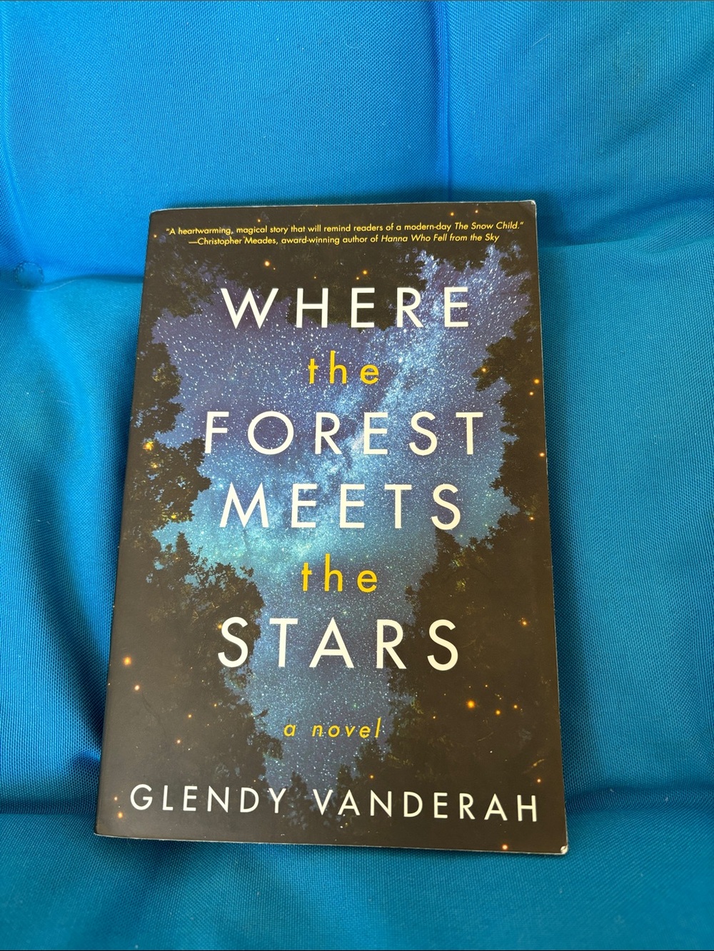 Where The Forest Meets The Stars By Glendy Vanderah A Novel Soft Cover NWOTS